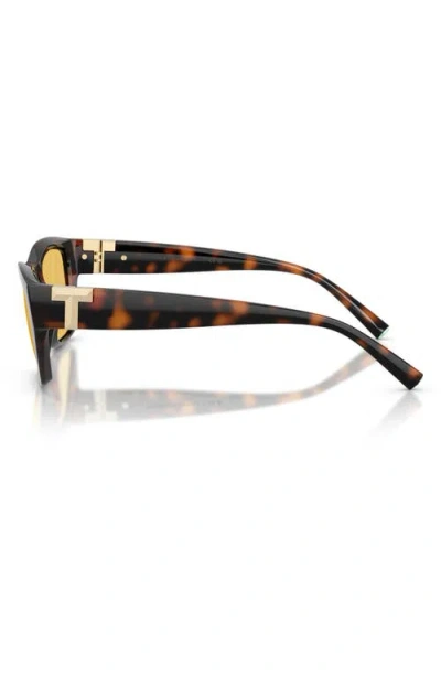 Tiffany & Co . 56mm Rectangular Sunglasses In Brown