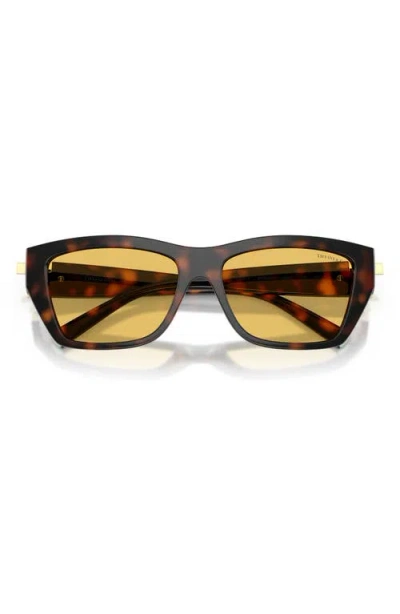 Tiffany & Co . 56mm Rectangular Sunglasses In Brown