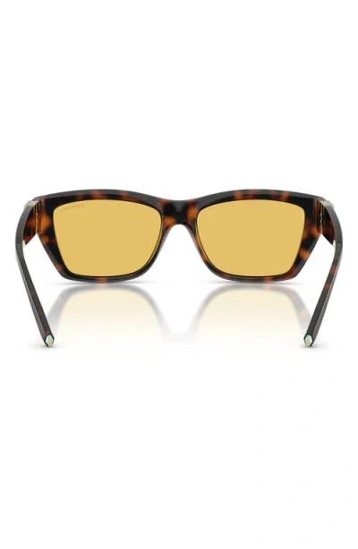 Tiffany & Co . 56mm Rectangular Sunglasses In Brown