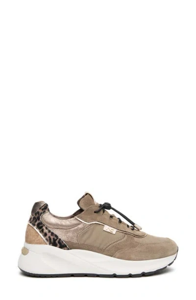 Nerogiardini Bungee Sneaker In Multi