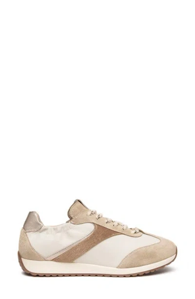 Nerogiardini Leather Low Top Sneaker In Neutral