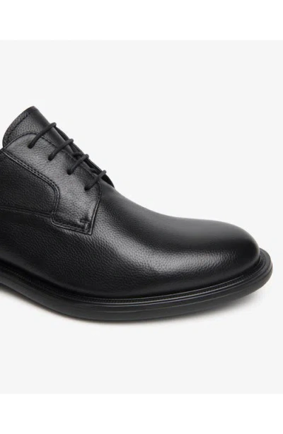 Nerogiardini Plain Toe Derby In Black