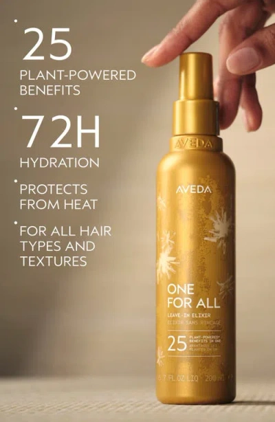 Aveda One For All Leave-in Elixir In Gold