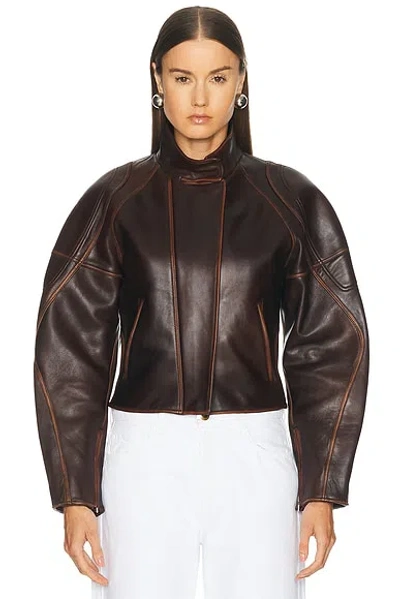Helmut Lang Saddle Leather Jacket In Saddle