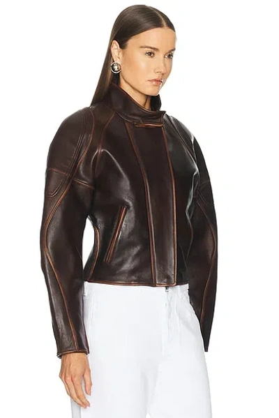 Helmut Lang Saddle Leather Jacket In Saddle