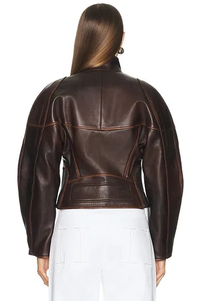 Helmut Lang Saddle Leather Jacket In Saddle