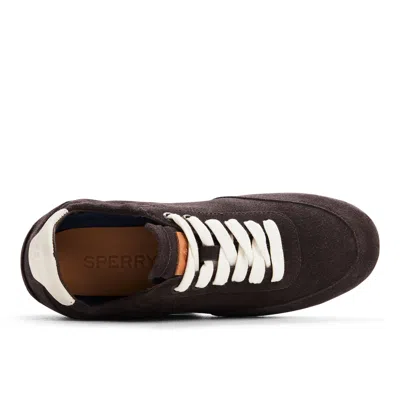 Sperry Slim Jogger Sneaker In Brown