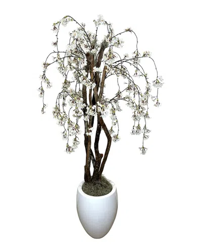 Creative Displays White Cherry Blossom Tree In Pot In Multi