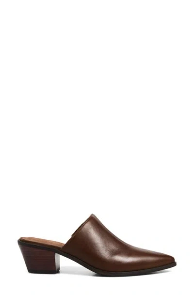 Chocolat Blu Cellia Pointed Toe Mule In Brown
