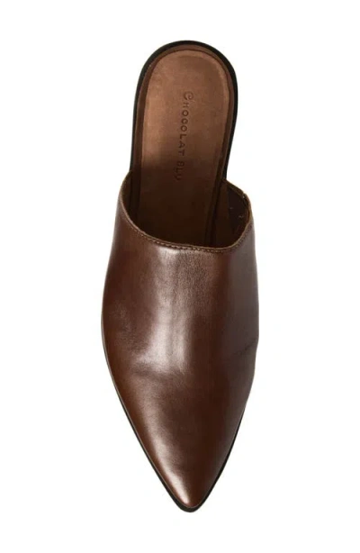 Chocolat Blu Cellia Pointed Toe Mule In Brown