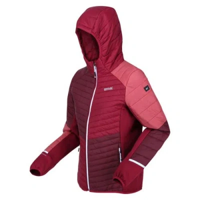 Regatta Trutton Puffer Jacket In Multi