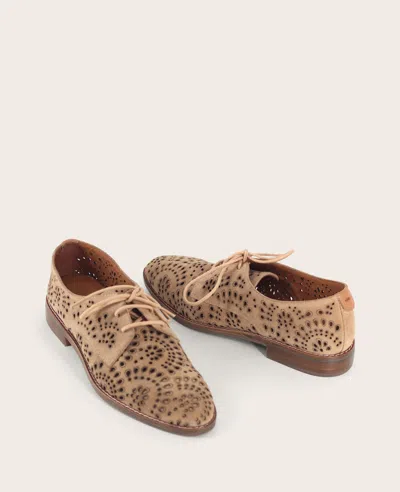 Gentle Souls Aronson Derby In Brown