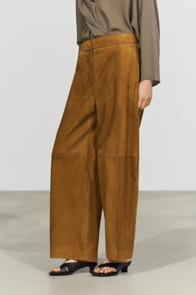Massimo Dutti In Donkerkameel