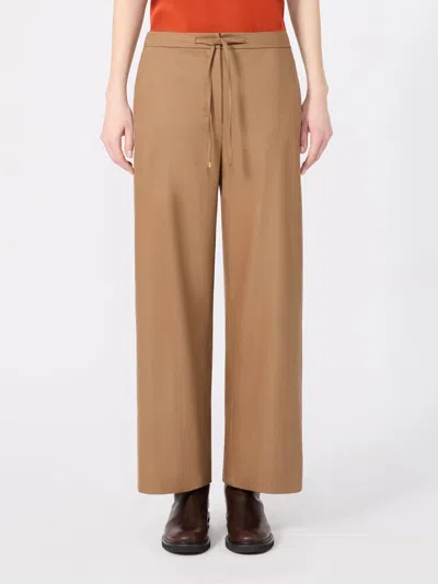 Max Mara Drawstring Casual Pants In Brown