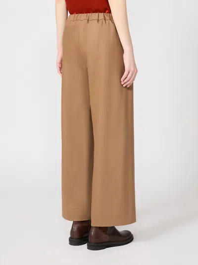 Max Mara Drawstring Casual Pants In Brown