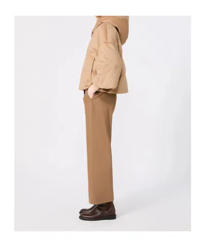 Max Mara Drawstring Casual Pants In Brown