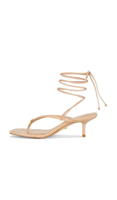 Raye Evey Sandal In Brown