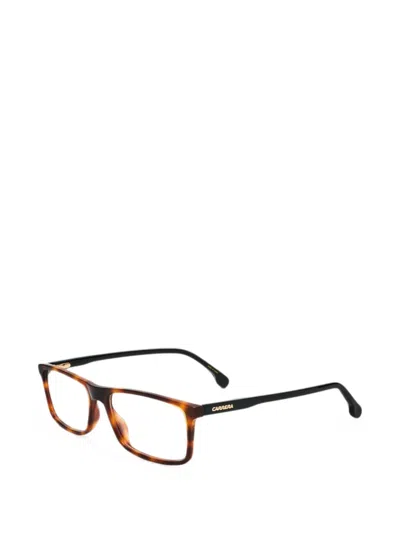 Carrera Brown Men Optical Frames In Brown