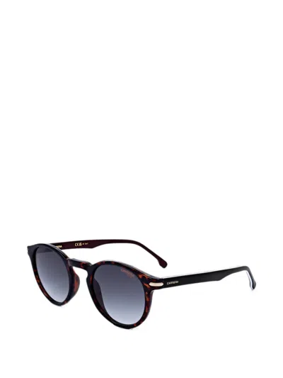 Carrera 톨토이즈셸 이펙트 라운드 프레임 선글라스 In Brown