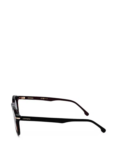 Carrera 톨토이즈셸 이펙트 라운드 프레임 선글라스 In Brown