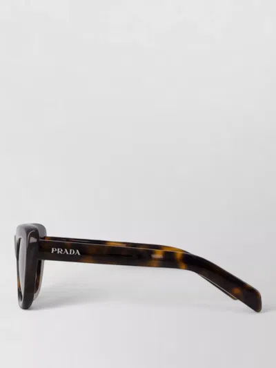 Prada Acetate Sunglasses In Brown