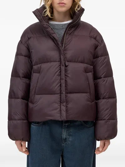 Closed Cropped Puffer Jacket In Brown