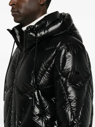Moose Knuckles Quilted Hooded Jacket In Black