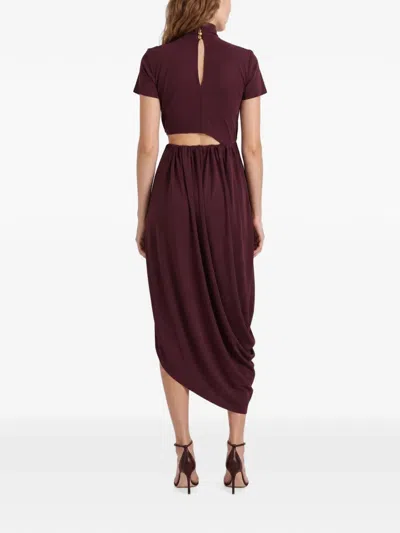 Violante Nessi 파가니 버클 디테일 드레스 In Brown