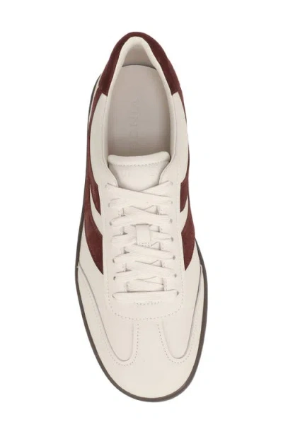 Vince Oasis Sneaker In Neutral