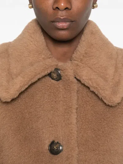 Max Mara Teddy Bear Cape Jacket In Brown