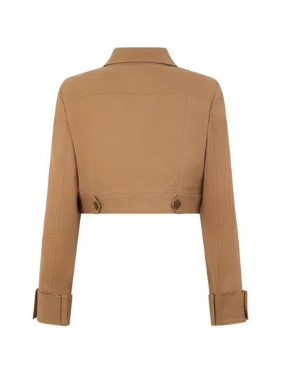 Alberta Ferretti Button-up Jacket In Brown