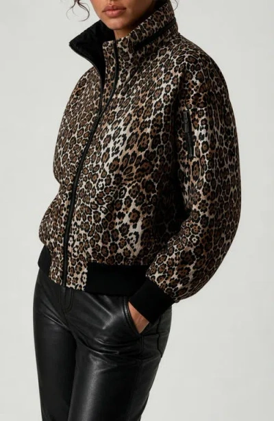 Noize Zaylee Leopard Printed Bomber Jacket In Black Leopard