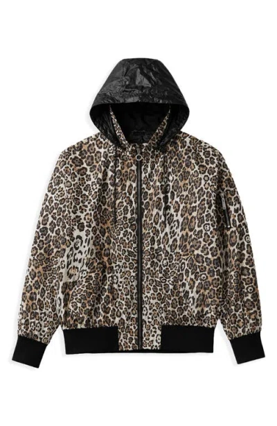 Noize Zaylee Leopard Printed Bomber Jacket In Black Leopard