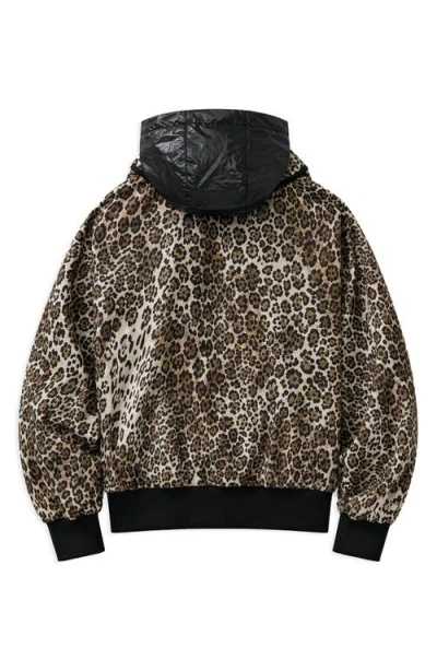 Noize Zaylee Leopard Printed Bomber Jacket In Black Leopard