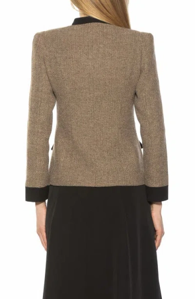 Alexia Admor Nox Herringbone Blazer In Herringbone