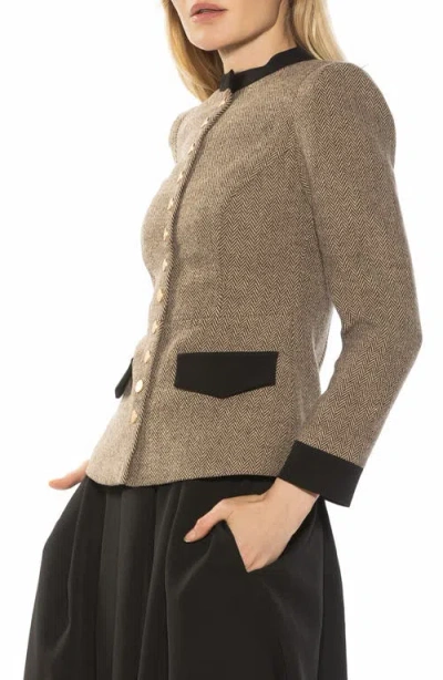 Alexia Admor Nox Herringbone Blazer In Herringbone