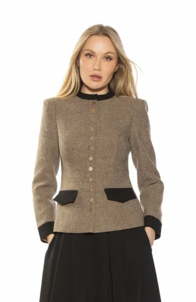 Alexia Admor Nox Herringbone Blazer In Herringbone