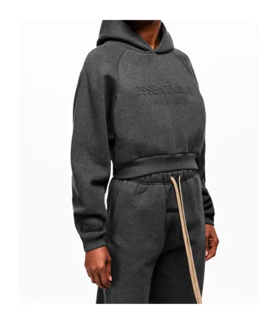 Essentials Hoodie In Gray
