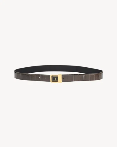 Saint Laurent Logo Belt In Multi