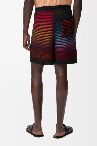 Loewe Drawstring Shorts In Multi
