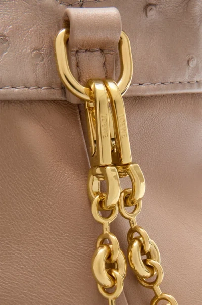 Loewe Chain Shoulder Bag In Brown