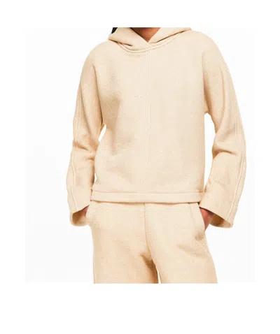 Max Mara Pull Over Hoodie In Multi
