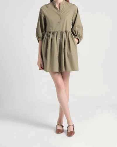 Maxco. Shirt Dresses In Multi