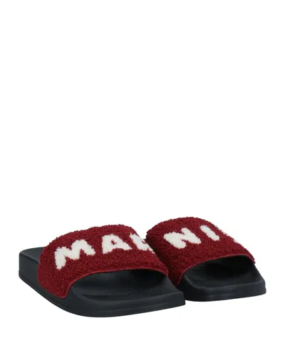 Marni Minimalist Solid Color Slippers In Black
