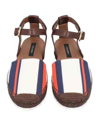 Dolce & Gabbana Espadrilles In Multi