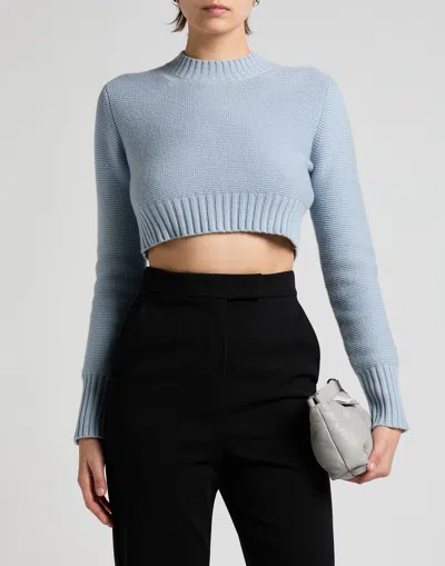 Max Mara Studio-inspired High-waist Flared Trousers With Pressed Pleats In Black