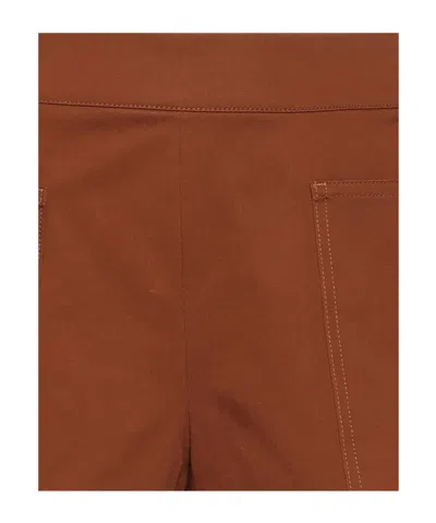 Max Mara Plain Colour Shorts In Brown
