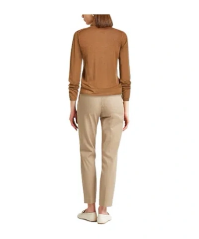 Max Mara Solid Lightweight Wool Turtleneck Sweater In Brown