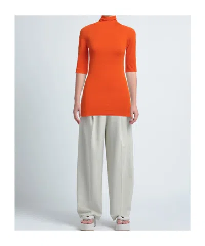 Sportmax Turtleneck Sweater In Multi