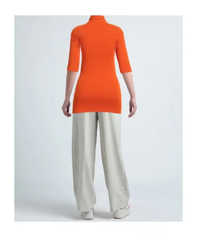 Sportmax Turtleneck Sweater In Multi